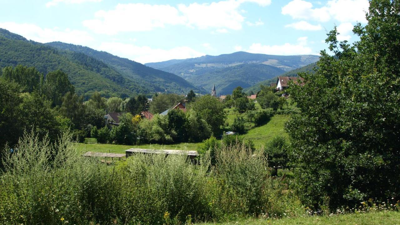 Gite Du Durrenbach Lautenbach Eksteriør bilde